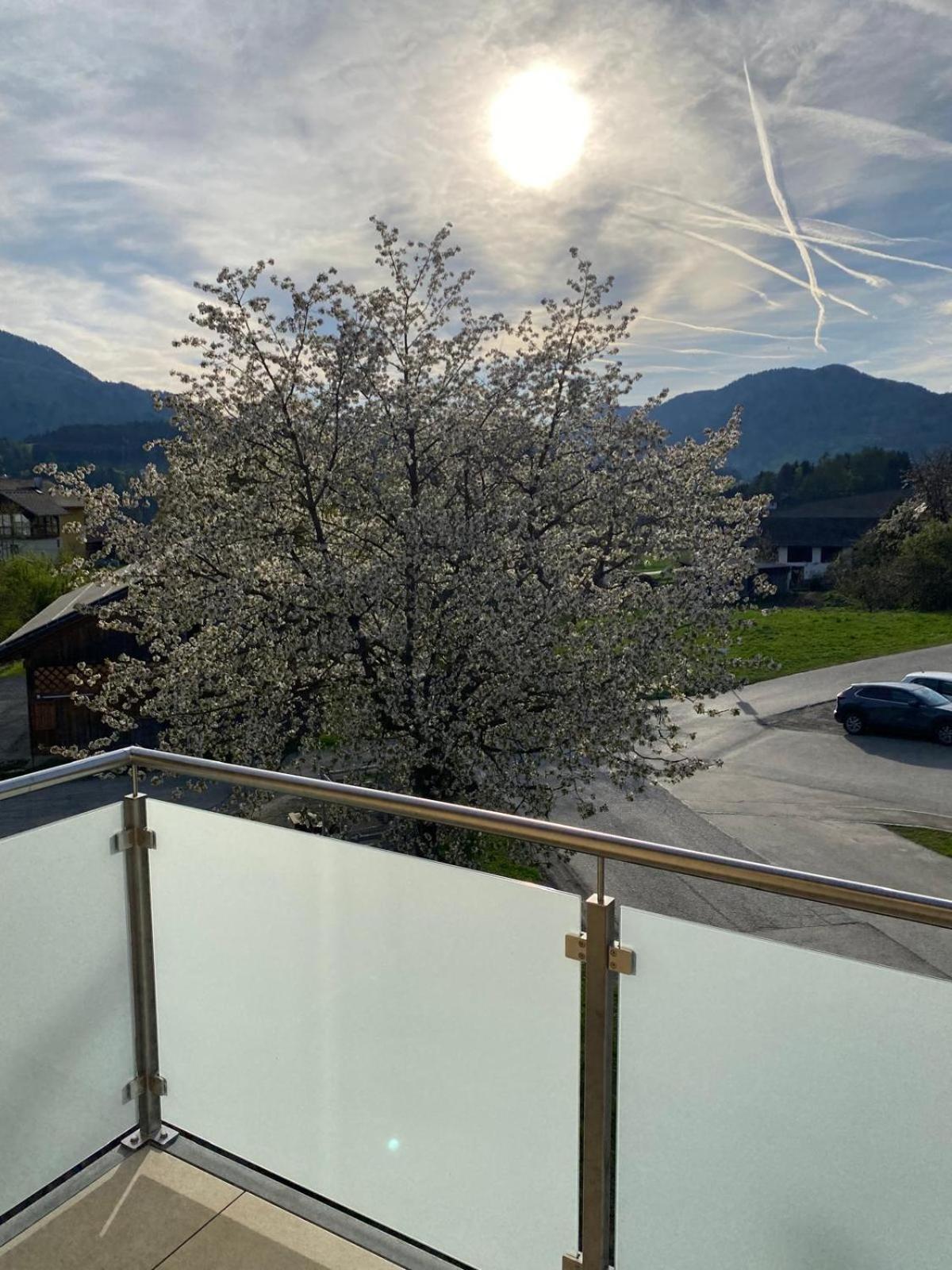 Ferienwohnung in Mariahof Neumarkt in Steiermark Dış mekan fotoğraf