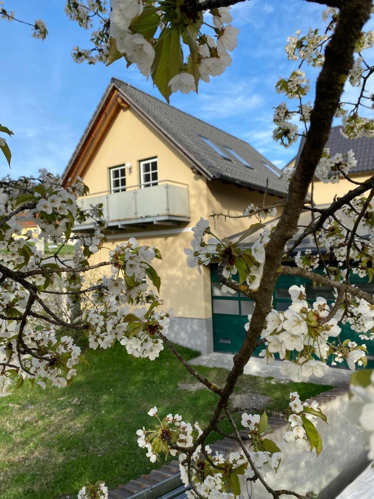Ferienwohnung in Mariahof Neumarkt in Steiermark Dış mekan fotoğraf